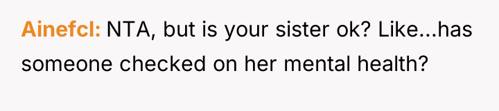 Ainefcl NTA, but is your sister ok? Like...has someone checked...