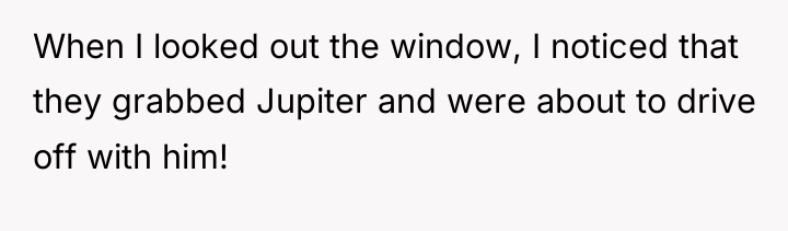 When I looked out the window, I noticed that they...