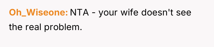 Oh_Wiseone NTA - your wife doesn't see the real problem.
