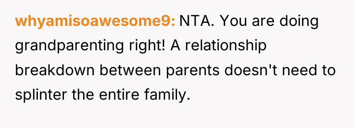 whyamisoawesome9 NTA. You are doing grandparenting right! A relationship breakdown...