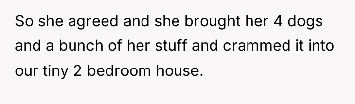 So she agreed and she brought her 4 dogs and...