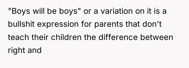 "Boys will be boys" or a variation on it is...