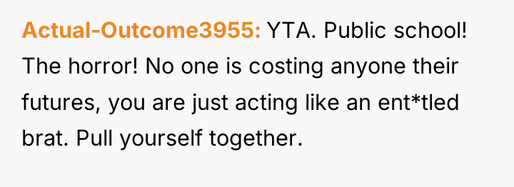 Actual-Outcome3955 YTA. Public school! The horror! No one is costing...