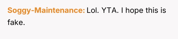 Soggy-Maintenance Lol. YTA. I hope this is fake.