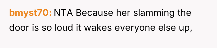 bmyst70 NTA Because her slamming the door is so loud...