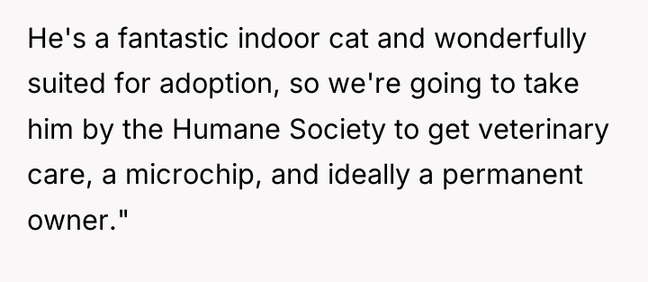 He's a fantastic indoor cat and wonderfully suited for adoption,...