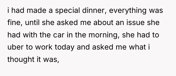 i had made a special dinner, everything was fine, until...