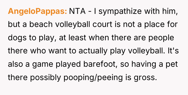 AngeloPappas NTA - I sympathize with him, but a beach...