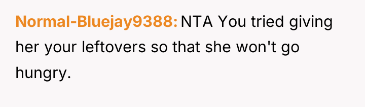 Normal-Bluejay9388 NTA You tried giving her your leftovers so that...