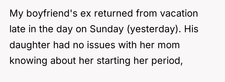 My boyfriend's ex returned from vacation late in the day...