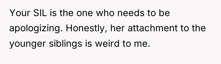 Your SIL is the one who needs to be apologizing....