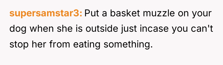 supersamstar3 Put a basket muzzle on your dog when she...