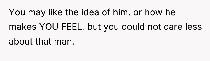 You may like the idea of him, or how he...