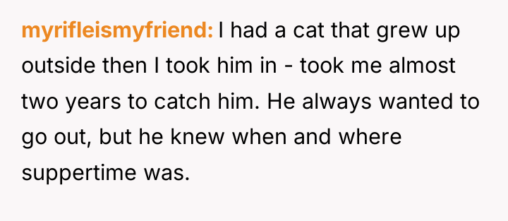 myrifleismyfriend I had a cat that grew up outside then...