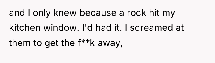 and I only knew because a rock hit my kitchen...