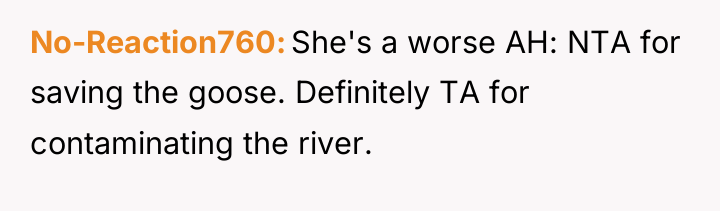 No-Reaction760 She's a worse AH: NTA for saving the goose....