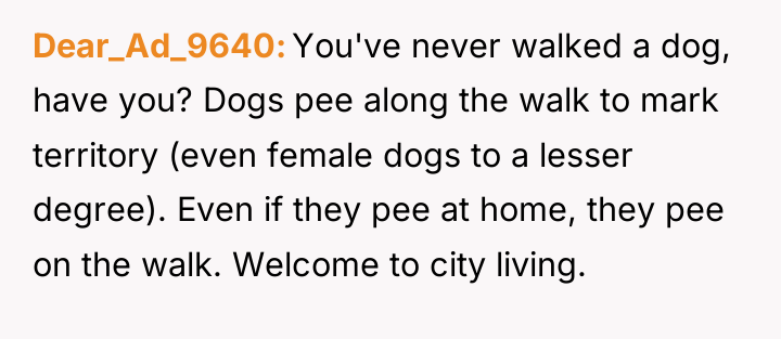Dear_Ad_9640 You've never walked a dog, have you? Dogs pee...
