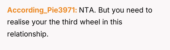 According_Pie3971 NTA. But you need to realise your the third...
