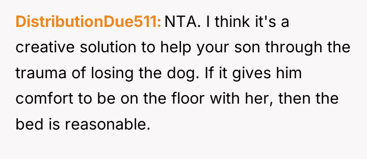 DistributionDue511 NTA. I think it's a creative solution to help...