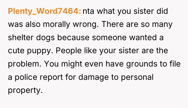 Plenty_Word7464 nta what you sister did was also morally wrong....