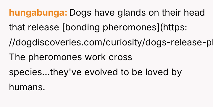 hungabunga Dogs have glands on their head that release [bonding...