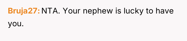 Bruja27 NTA. Your nephew is lucky to have you.