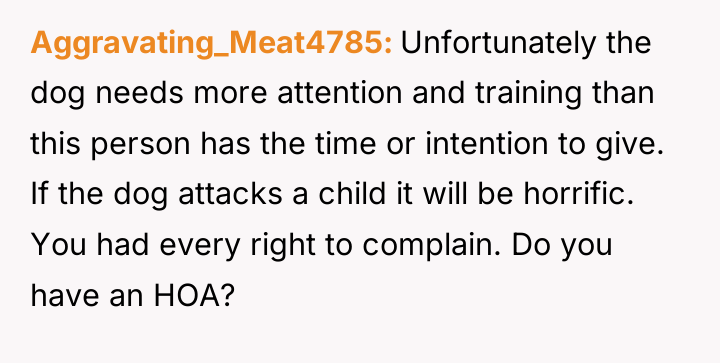 Aggravating_Meat4785 Unfortunately the dog needs more attention and training than...