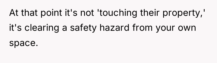 At that point it's not 'touching their property,' it's clearing...