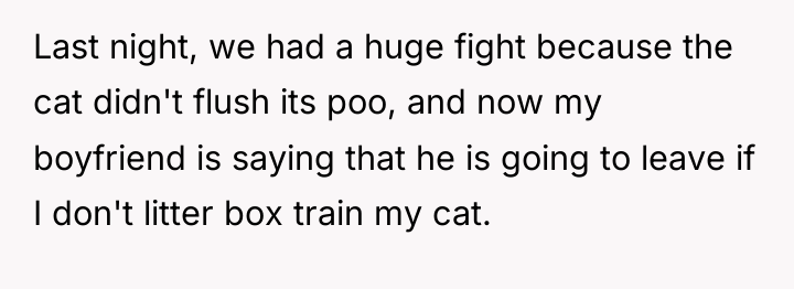 Last night, we had a huge fight because the cat...