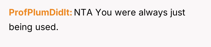 ProfPlumDidIt NTA You were always just being used.