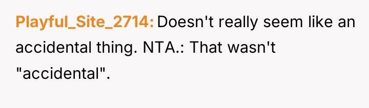 Playful_Site_2714 Doesn't really seem like an accidental thing. NTA.: That...