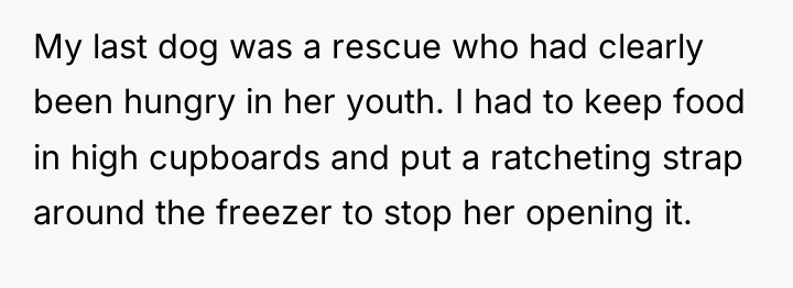 My last dog was a rescue who had clearly been...