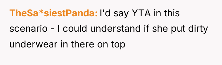 TheSa*siestPanda I'd say YTA in this scenario - I could...