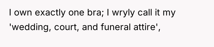 I own exactly one bra; I wryly call it my...