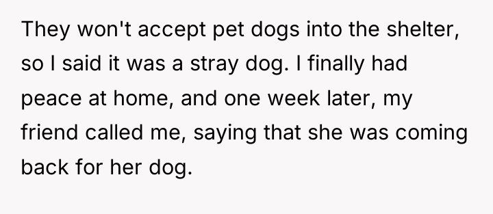 They won't accept pet dogs into the shelter, so I...