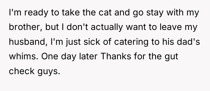 I'm ready to take the cat and go stay with...