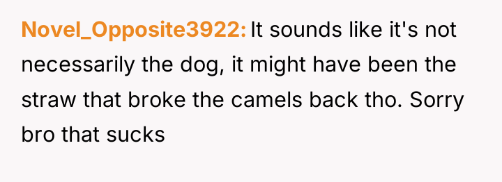 Novel_Opposite3922 It sounds like it's not necessarily the dog, it...