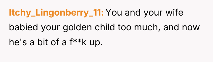 Itchy_Lingonberry_11 You and your wife babied your golden child too...