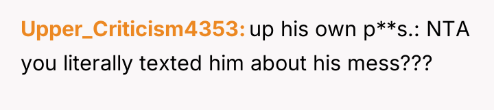 Upper_Criticism4353 up his own p**s.: NTA you literally texted him...