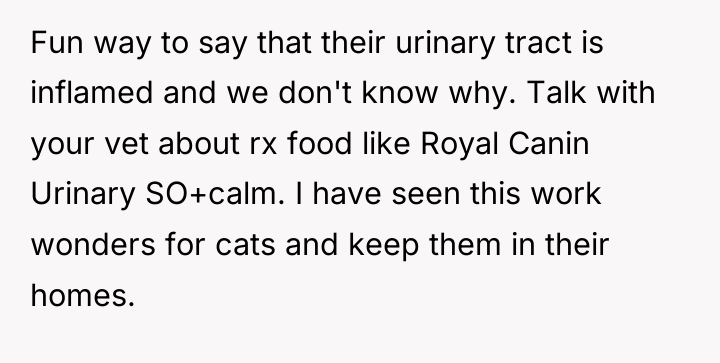 Fun way to say that their urinary tract is inflamed...
