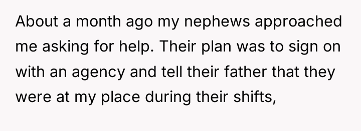 About a month ago my nephews approached me asking for...