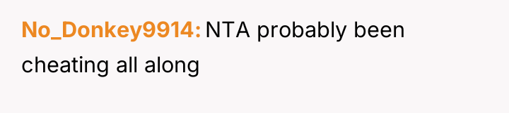 No_Donkey9914 NTA probably been cheating all along