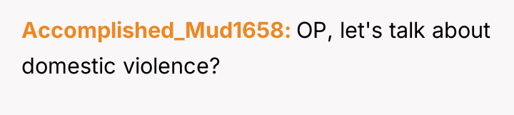Accomplished_Mud1658 OP, let's talk about domestic violence?