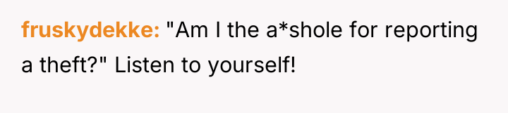 fruskydekke "Am I the a*shole for reporting a theft?" Listen...