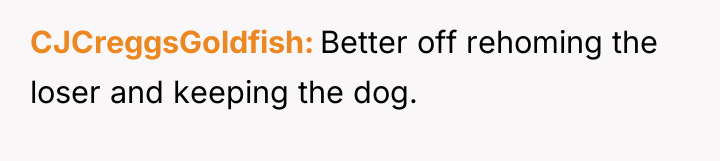 CJCreggsGoldfish Better off rehoming the loser and keeping the dog.