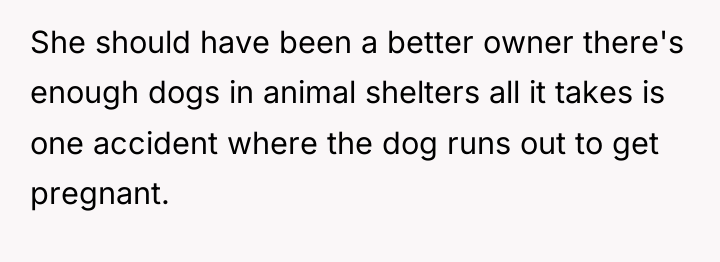 She should have been a better owner there's enough dogs...