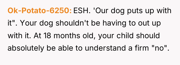 Ok-Potato-6250 ESH. 'Our dog puts up with it". Your dog...