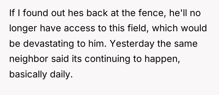 If I found out hes back at the fence, he'll...