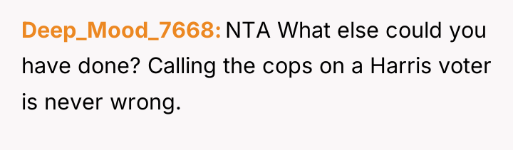 Deep_Mood_7668 NTA What else could you have done? Calling the...