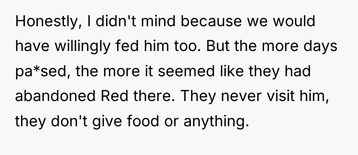 Honestly, I didn't mind because we would have willingly fed...